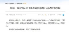 “3·21”东航MU5735航班机上132人全部遇难（东航